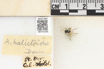 Media type: image;   Entomology 771535 Aspect: Labels